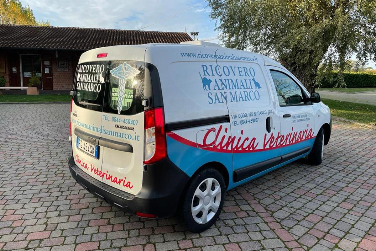 Vans scritte sales